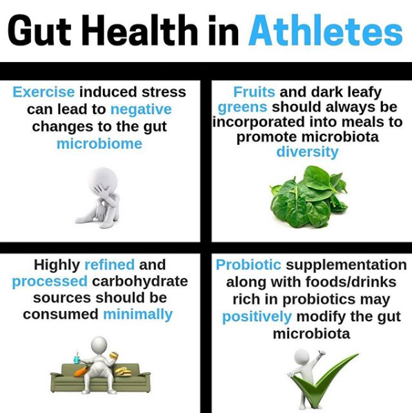 Gut health and exercise performance
